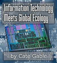 Information Technology Meets Global Ecology
