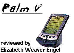 Palm V Review
